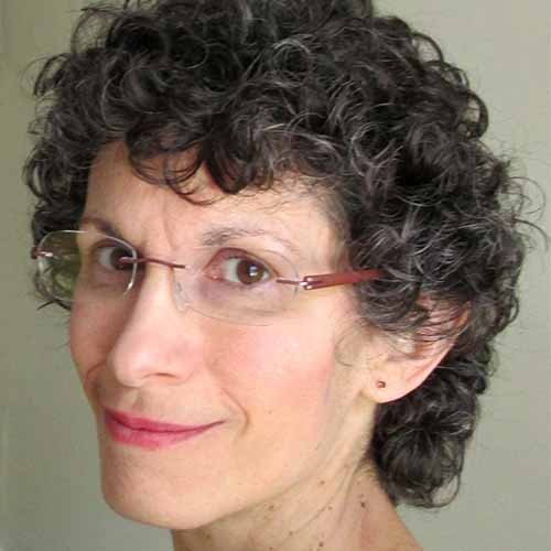 南席勒概要图。