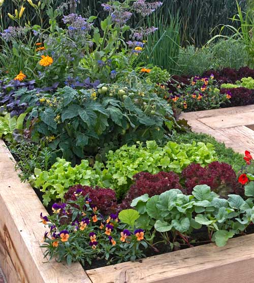 恰到好处的构造提出了木材制成的床上用鲜花和绿叶蔬菜。